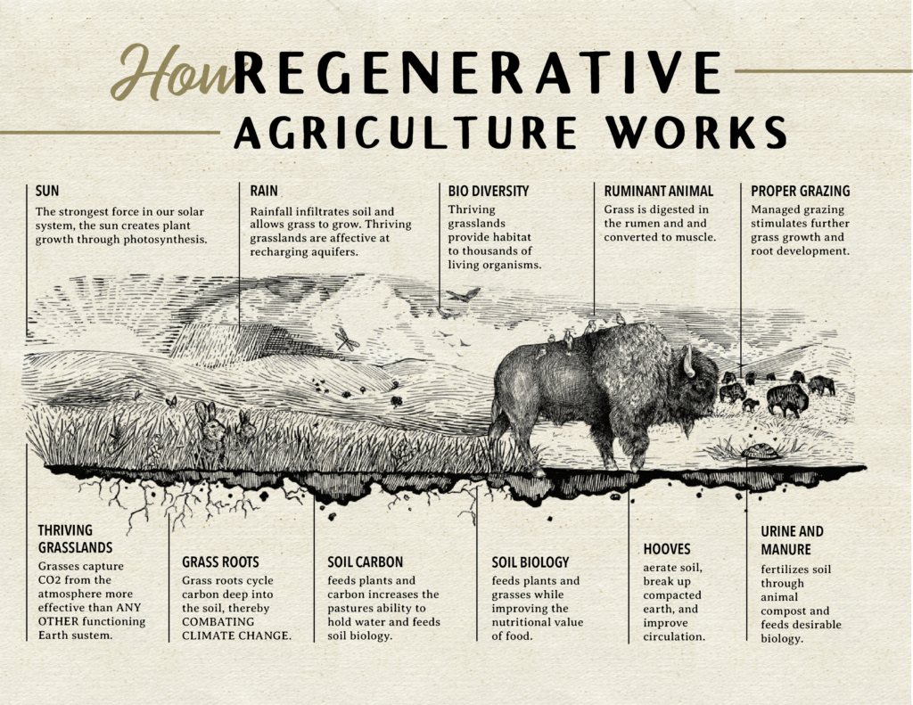 Where buy regenerative beef in Austin, Texas 